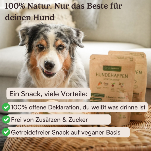 Hundehappen Probierpaket Online-Verkauf – Bild 2