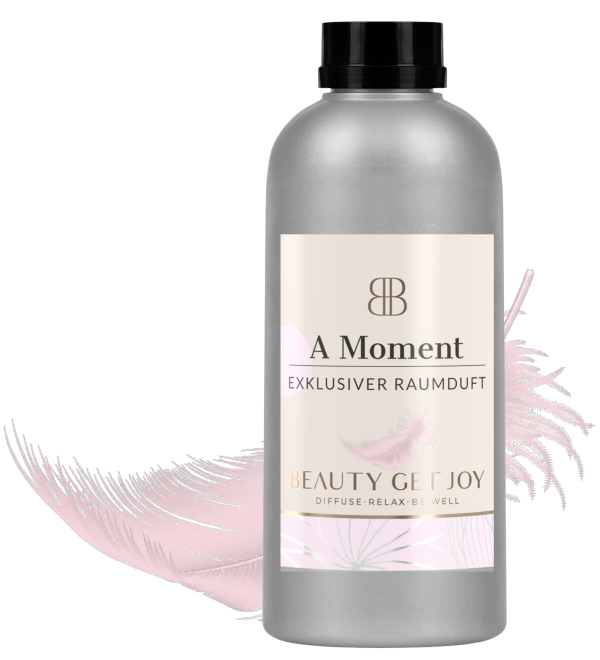 A MOMENT Kartusche 500ml Angebot