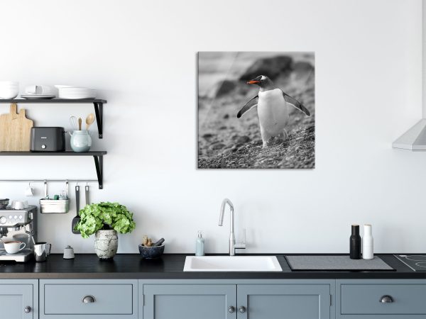 Pinguin am Steinstrand, Glasbild Quadratisch Im Angebot – Bild 3